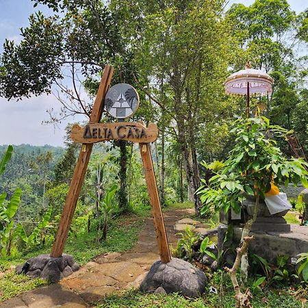 Delta Casa Ubud-Cozy Tropical Villas With Volcano View 파양간 외부 사진