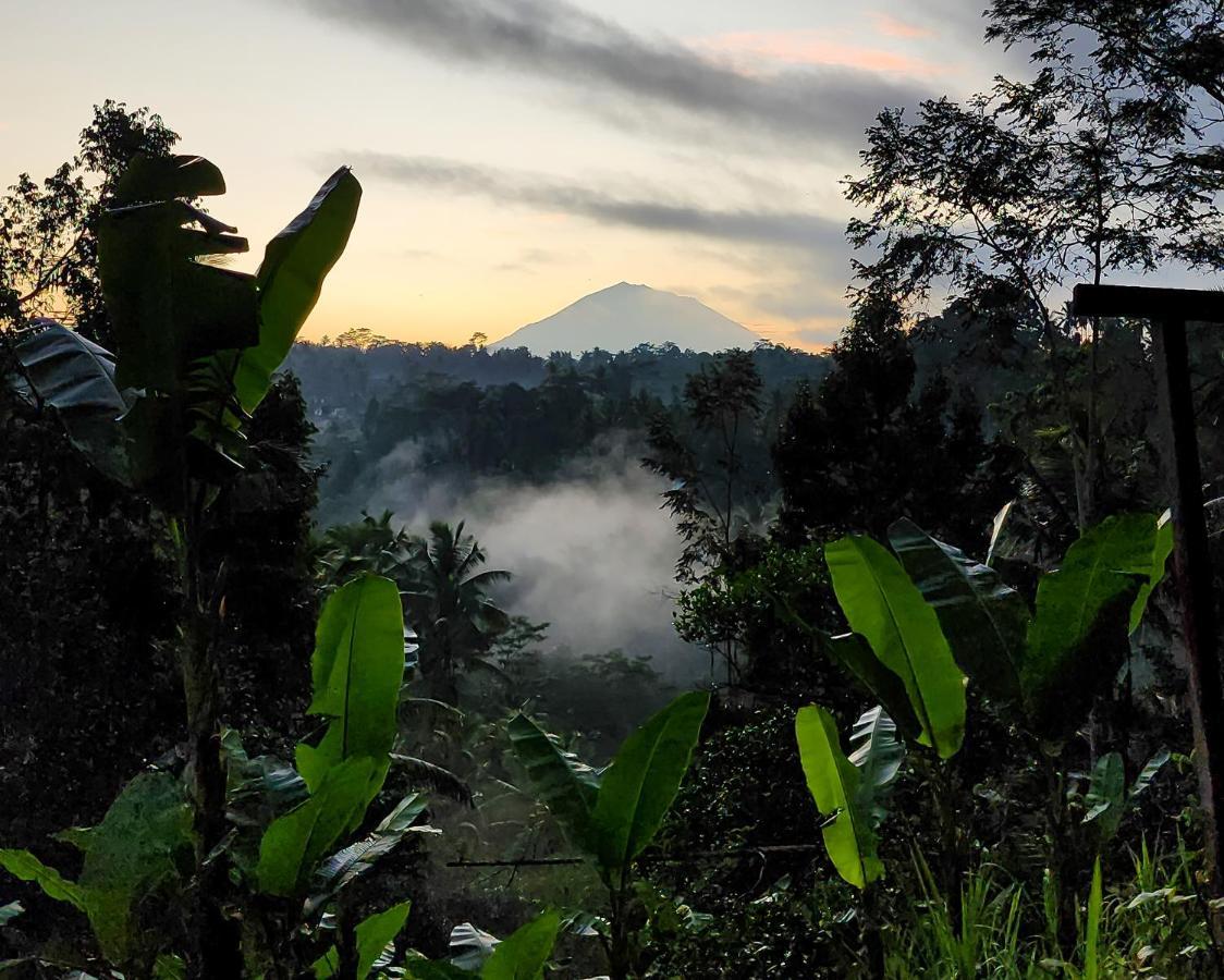 Delta Casa Ubud-Cozy Tropical Villas With Volcano View 파양간 외부 사진