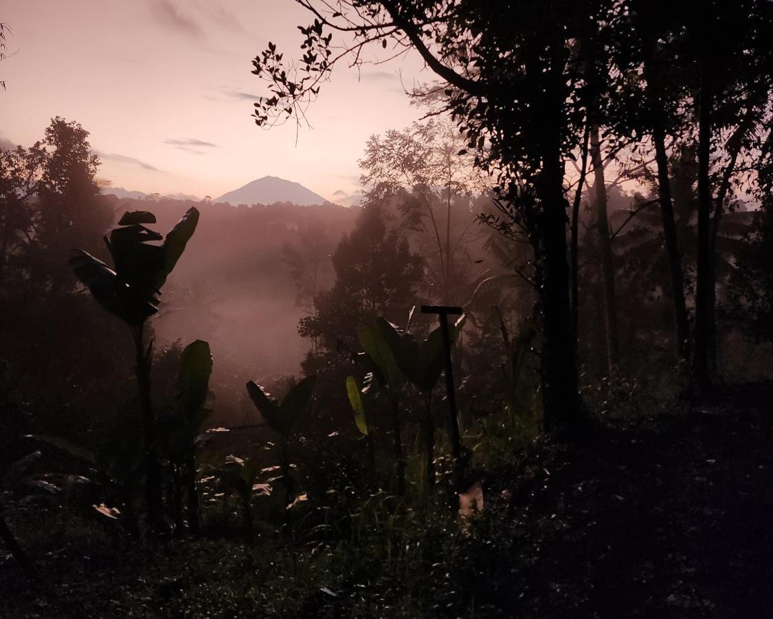 Delta Casa Ubud-Cozy Tropical Villas With Volcano View 파양간 외부 사진