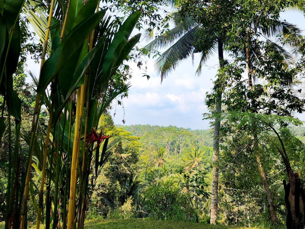 Delta Casa Ubud-Cozy Tropical Villas With Volcano View 파양간 외부 사진