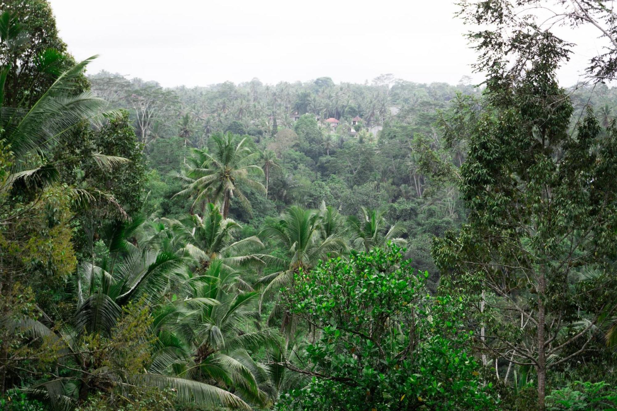 Delta Casa Ubud-Cozy Tropical Villas With Volcano View 파양간 외부 사진